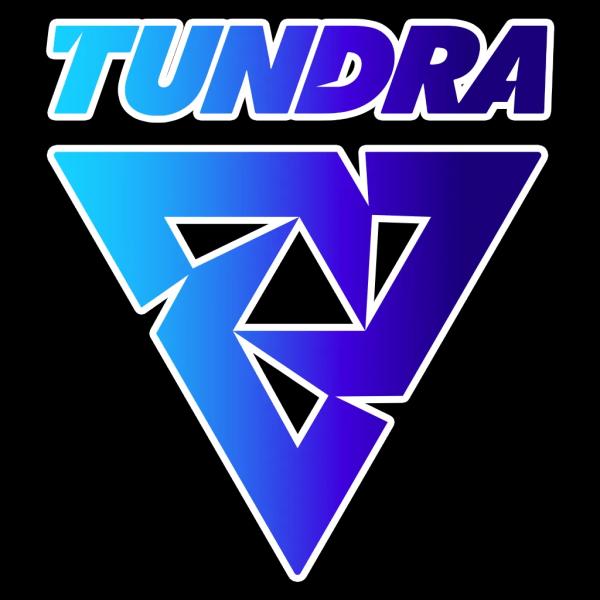 Nouns против Tundra Esports — ставки на киберспорт